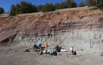 Crew of scientists excavating fossils from Hayden Quarry at Ghost Ranch.